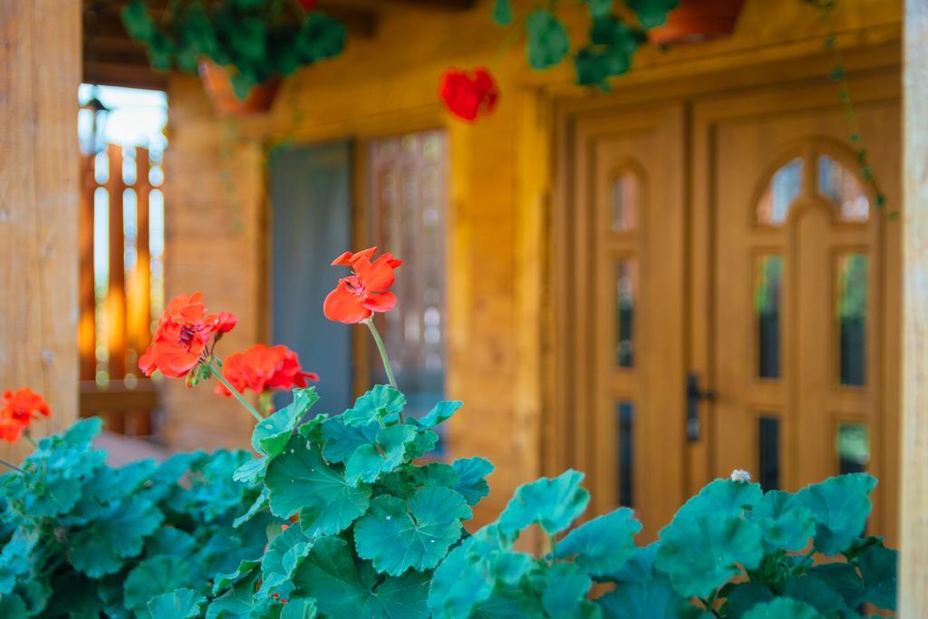 Casa Gherman Hotel ทูร์ดา ภายนอก รูปภาพ